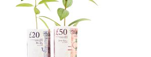 Rolled twenty and fifty-pound notes with spouts growing, an increase in reassurance for savers