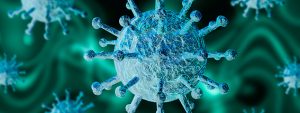 A close up picture of a virus