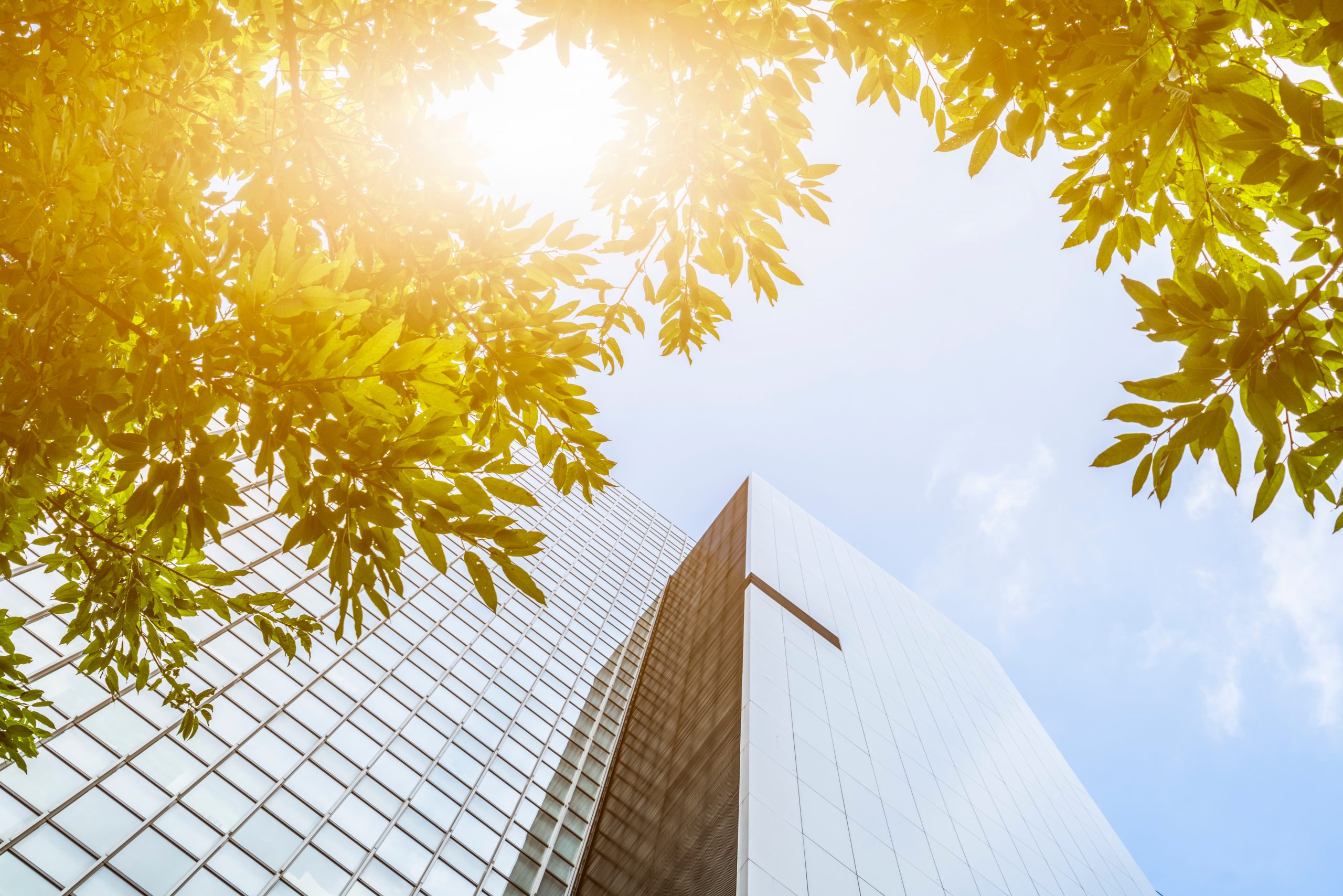 Commercial Lending Miles Rhodes