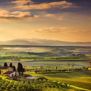 Tuscany Maremma foggy morning, farmland and green fields country landscape. SPECIALIST_MORTGAGES