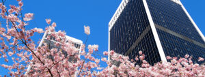 Commercial Property Market review - March 2024