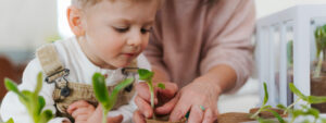 Nurture your financial wellbeing in 2025 – get your life plans in place with smart planning 