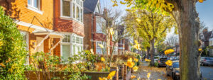 Autumn housing market outlook 