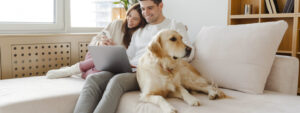 Residential property review - February 2024