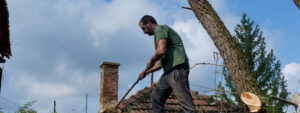 One in five UK homes suffer storm damage 