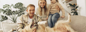 Smiling, happy father and mouther, little daughter sitting on comfortable sofa, playing with golden retriever at home in living room. Love pet concept
