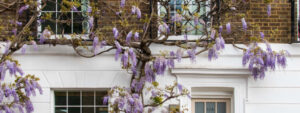 Residential Property Review - August 2024